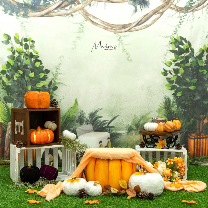 SETUP NO 53 | THEME