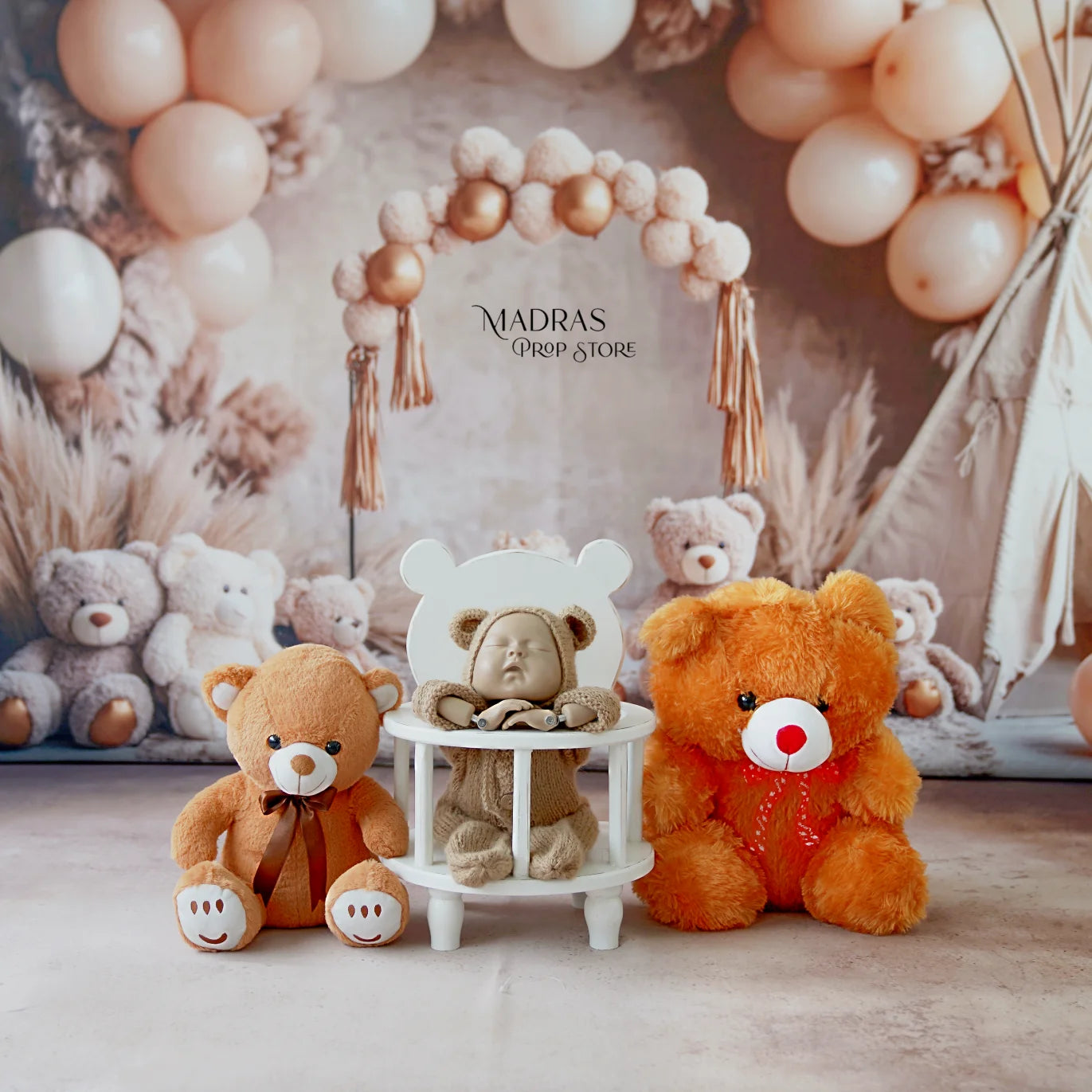Setup No 117 | Newborn Teddy Theme