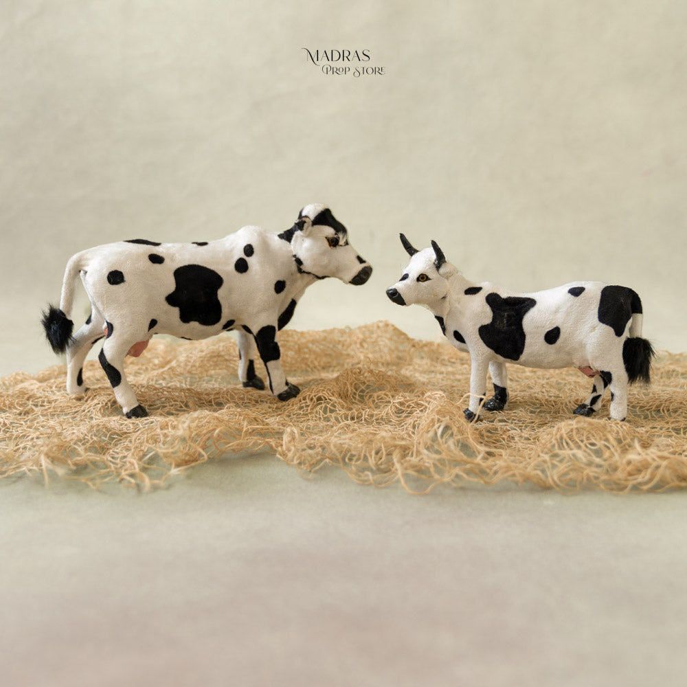 Rental - Cow Set of 2
