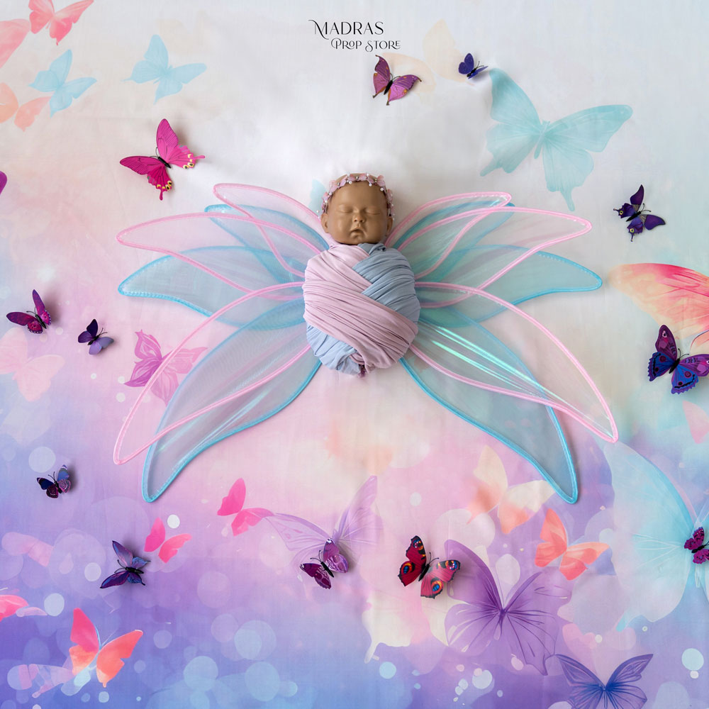Setup No 87 | Butterfly Theme