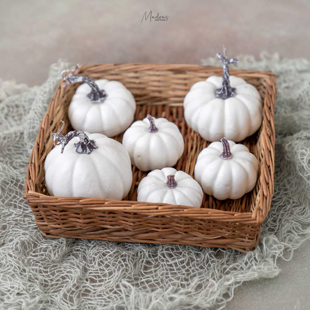 Rental - Chalky White Pumpkins Set Of 6