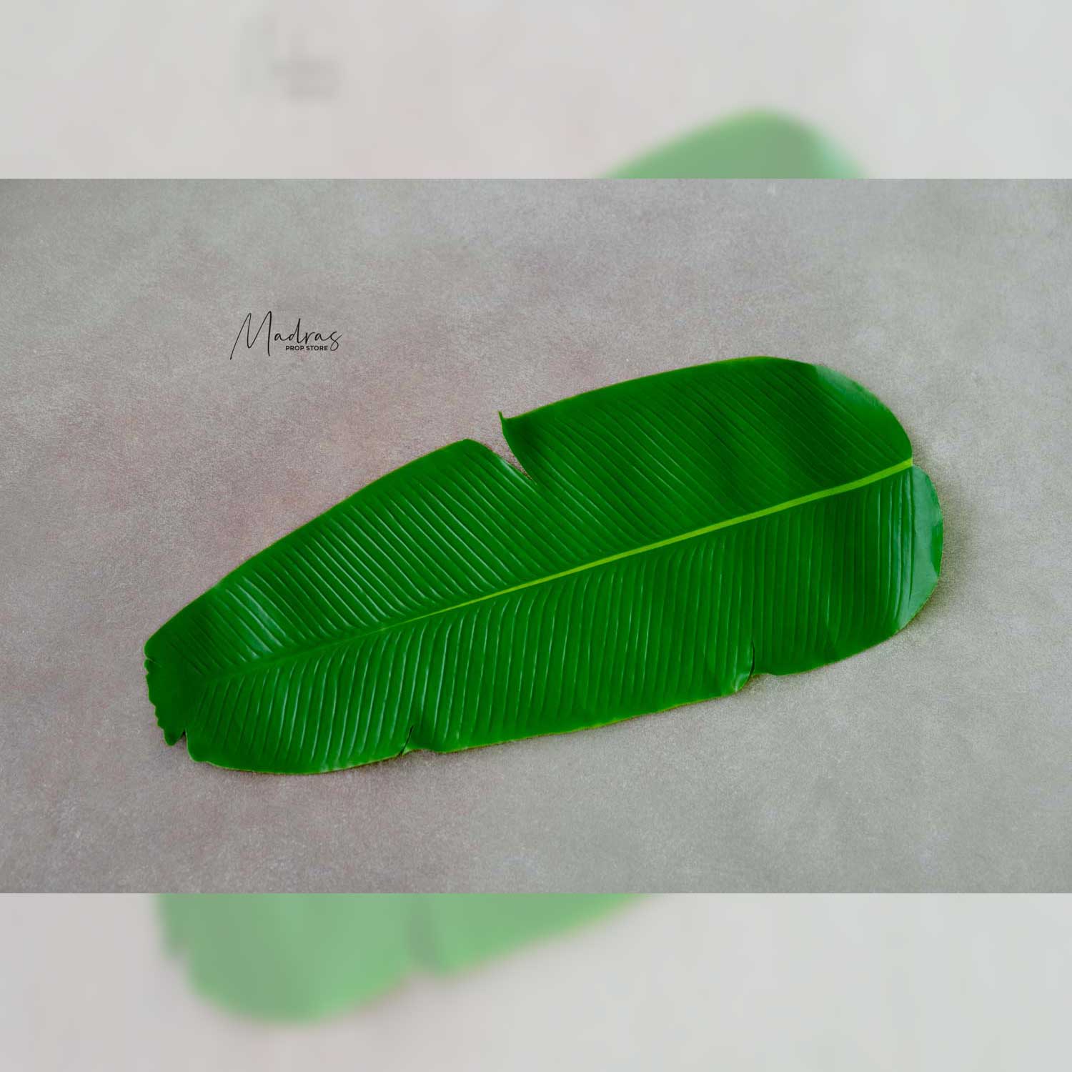 Rental - Banana Leaf