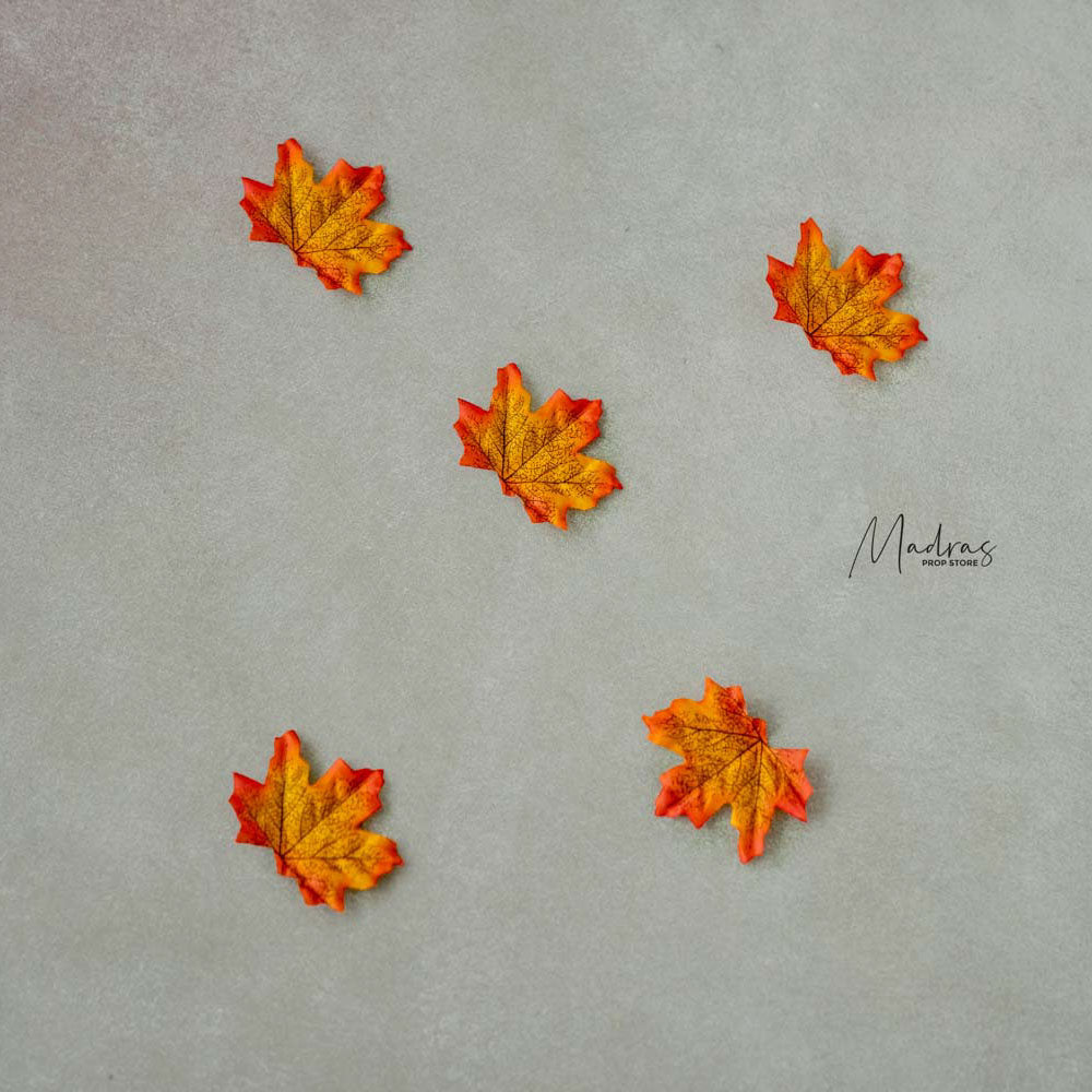 Rental - Maple Leaves Set Of 5 - Sunset
