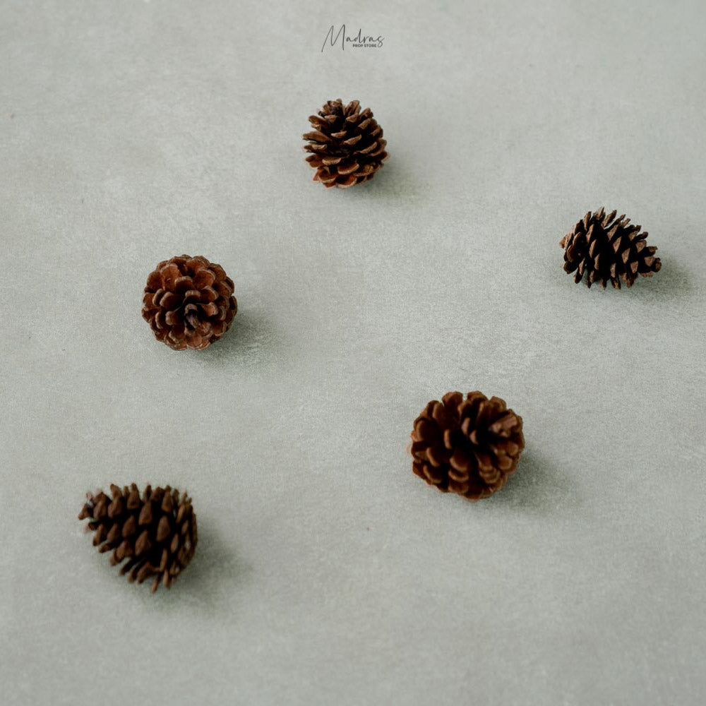 Rental - Pine Cone Set Of 5
