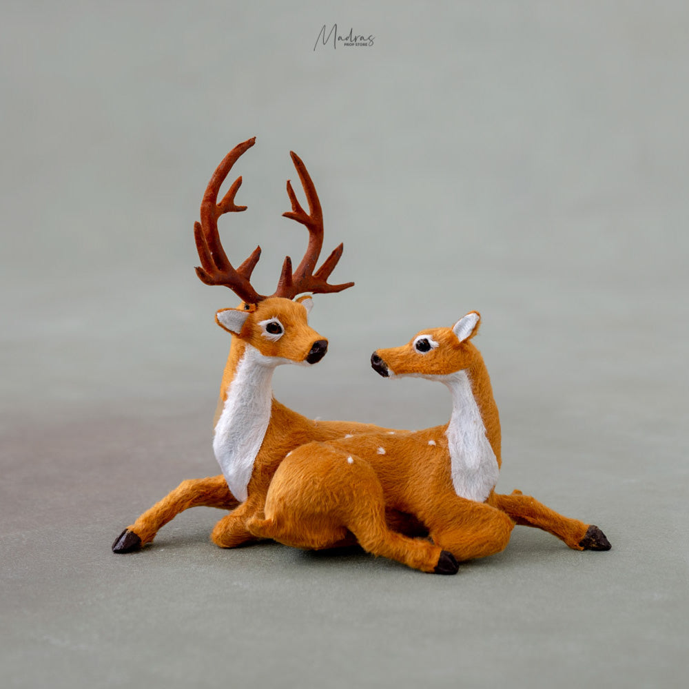 Rental - Reindeer Sitting Set Of 2
