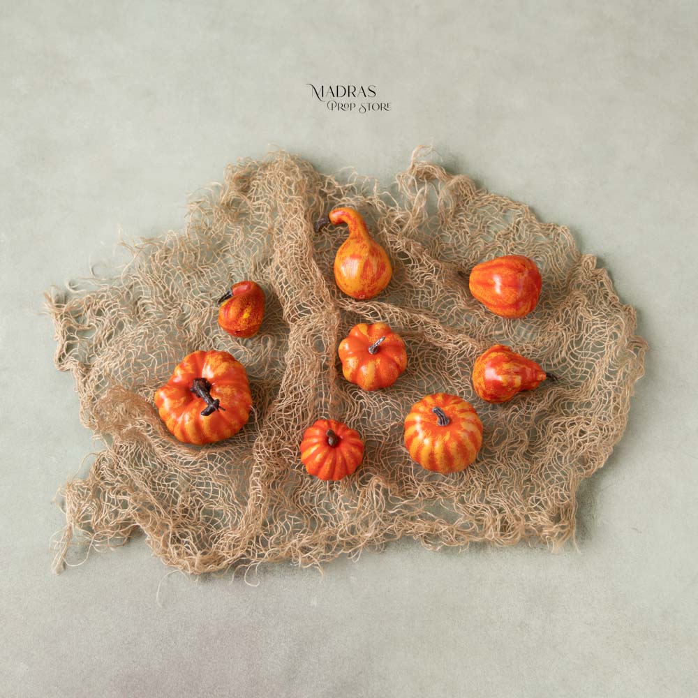 Rental - Miniature Pumpkins Set Of 8