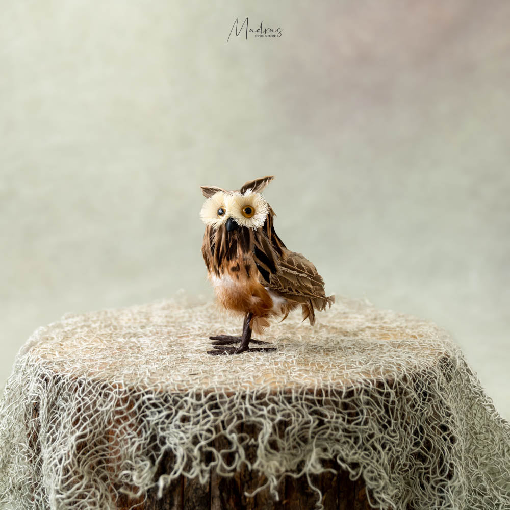 Rental - Straw Eyed Owl