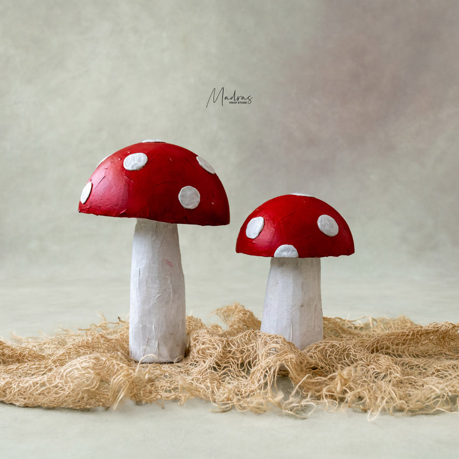 Rental - Handmade Mushrooms Set Of Two