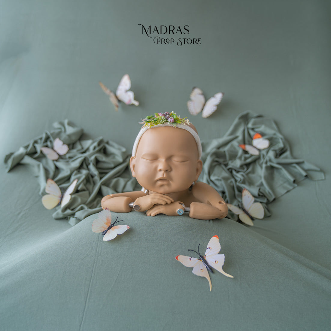 SETUP NO 100 | Newborn Butterfly