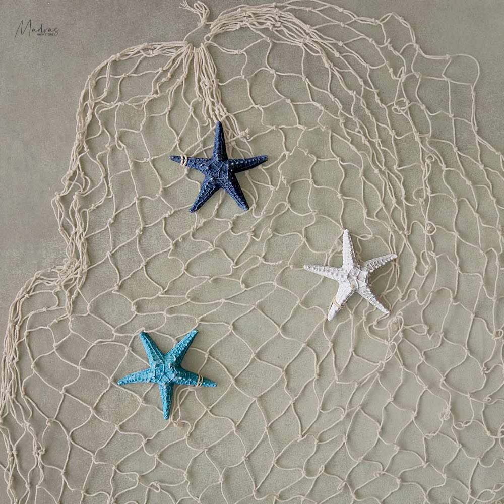 Rental - Starfish Set Of 3