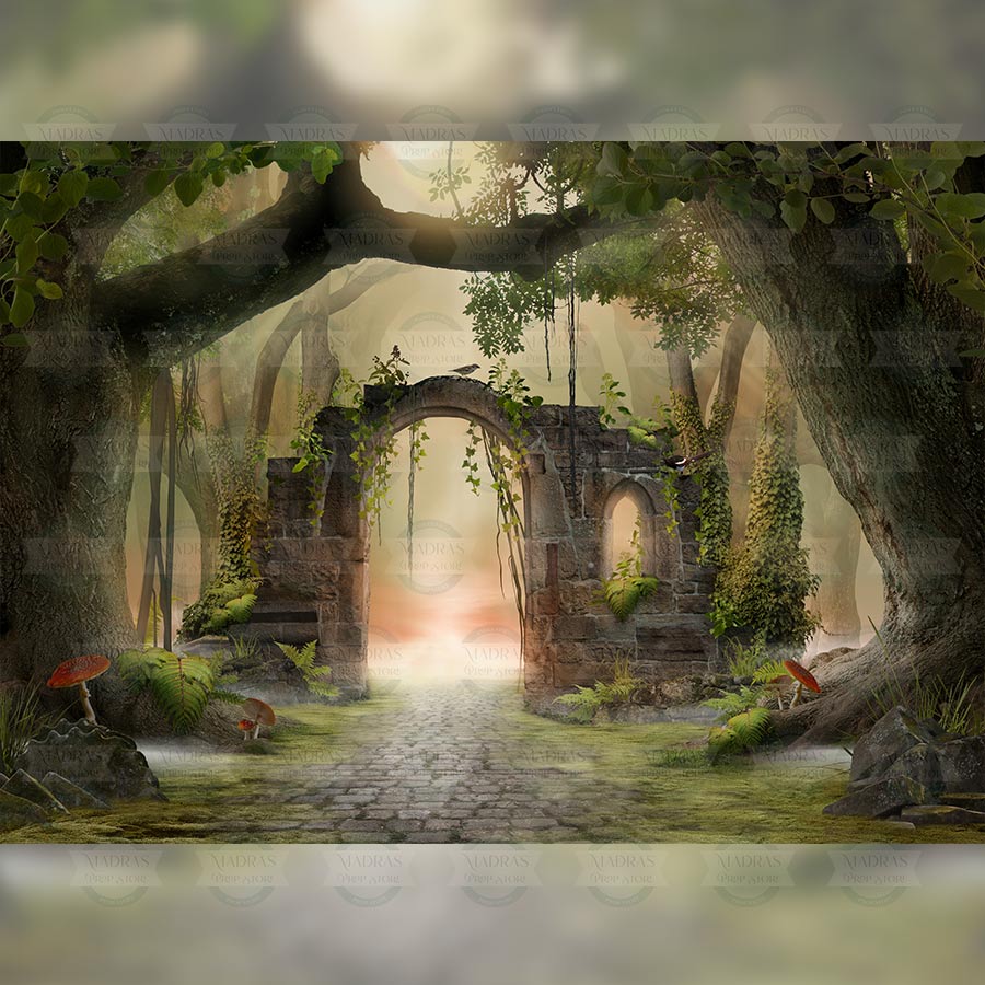 Haunted - Baby Printed Backdrops