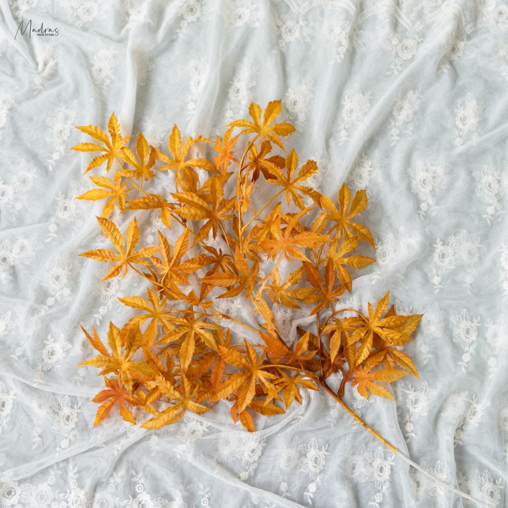 Rental - Curry Leaves