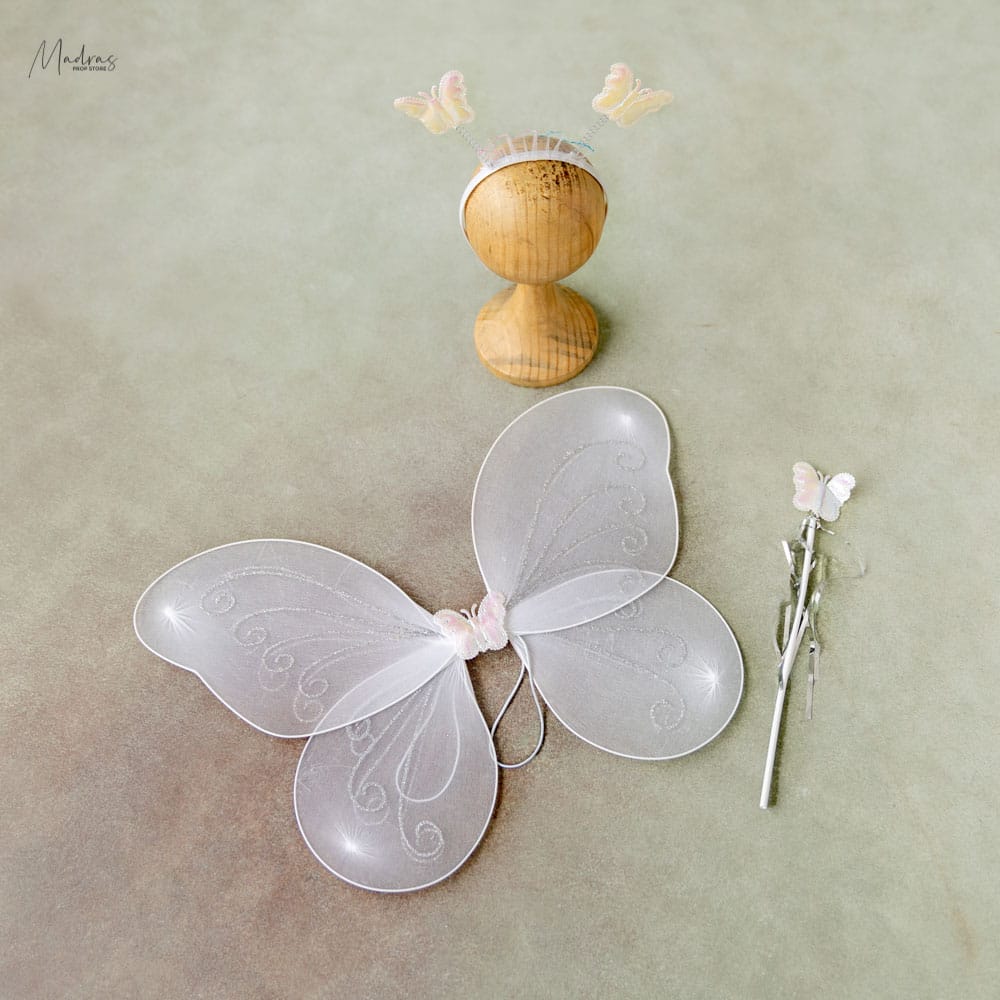 Rentals - Wings + wand set