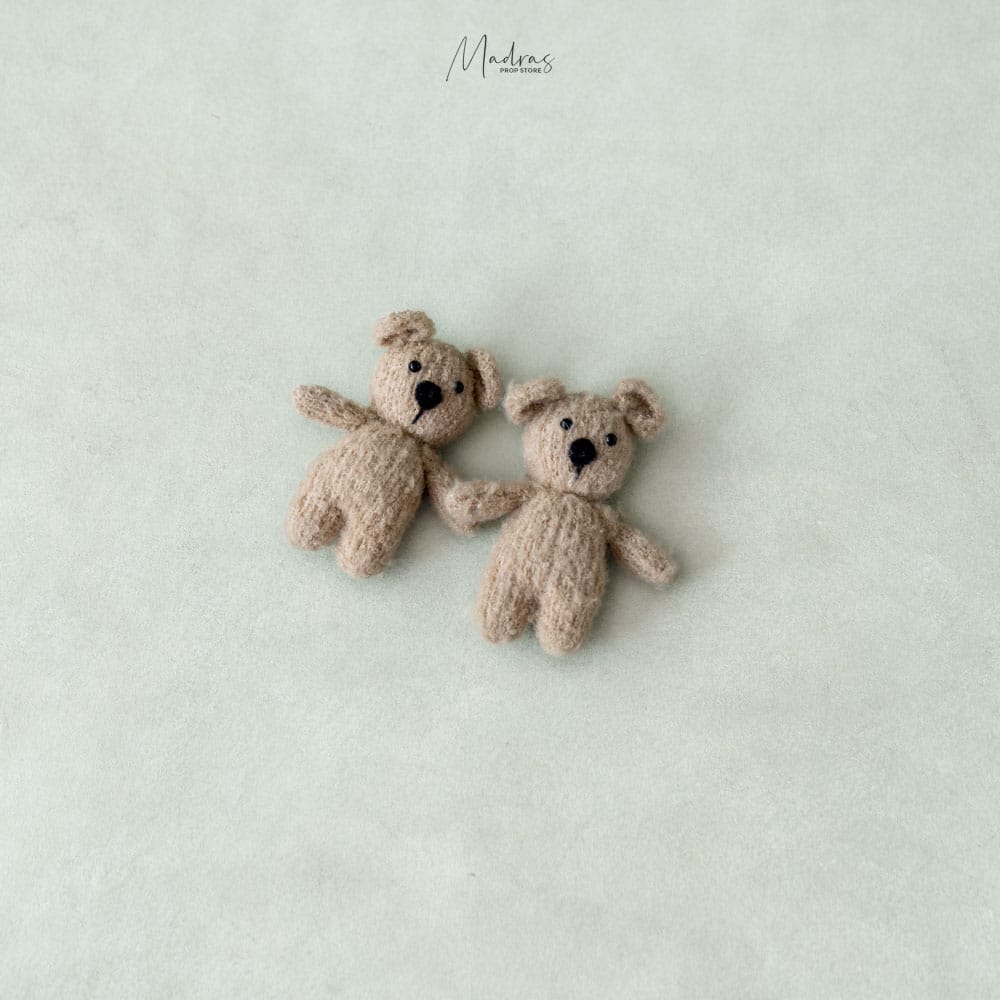 Rental - Cuddly Bear
