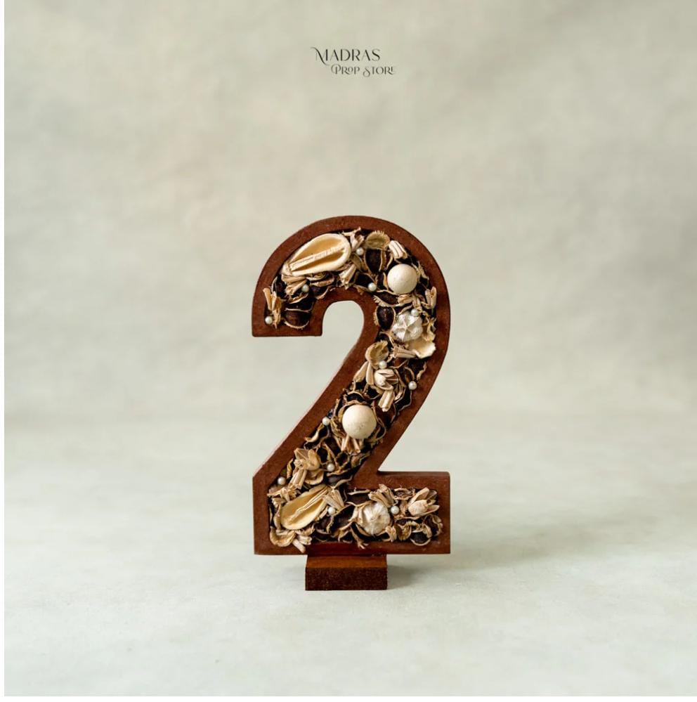 Rental - Boho Theme Number Prop - Two