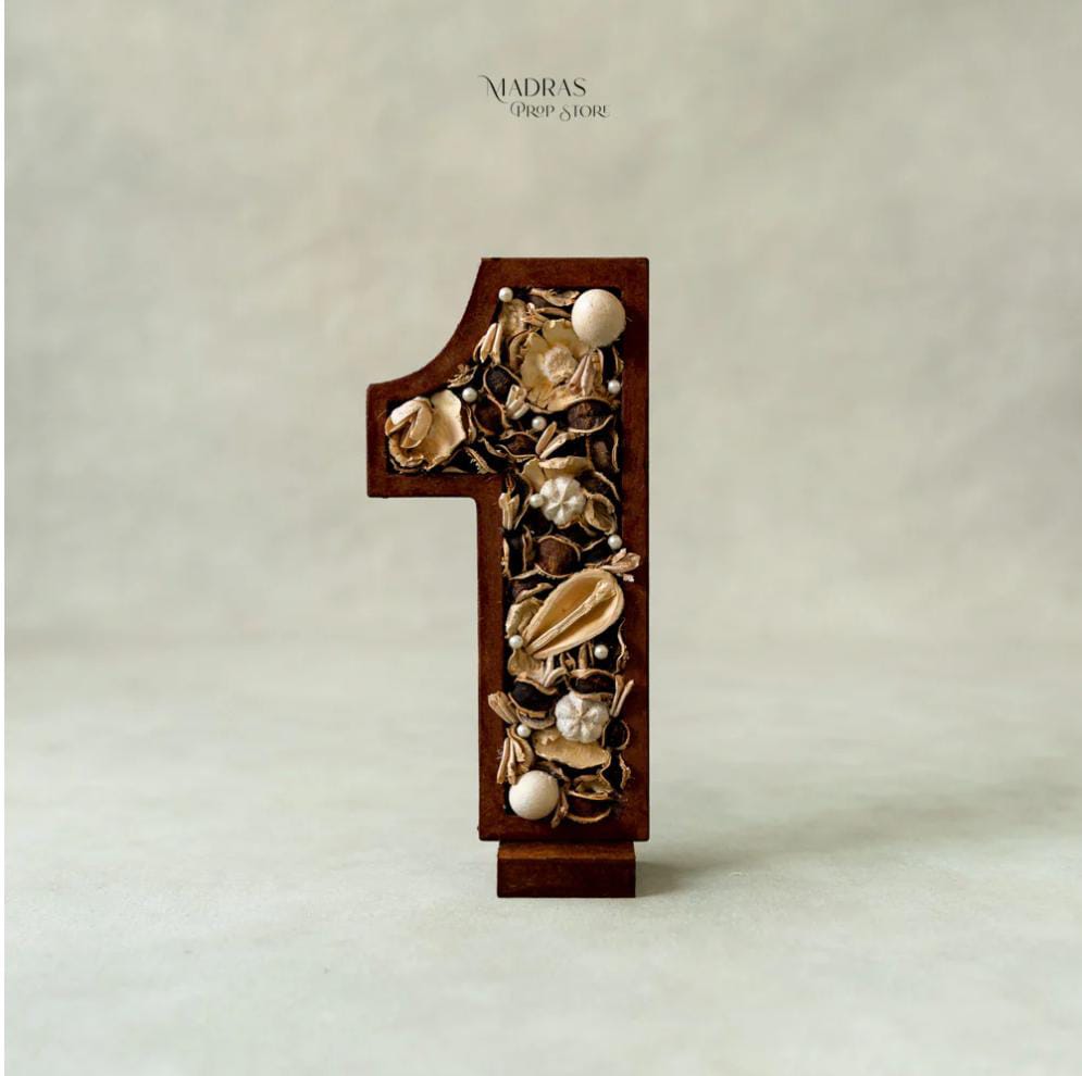 Rental - Boho Theme Number Prop - ONE