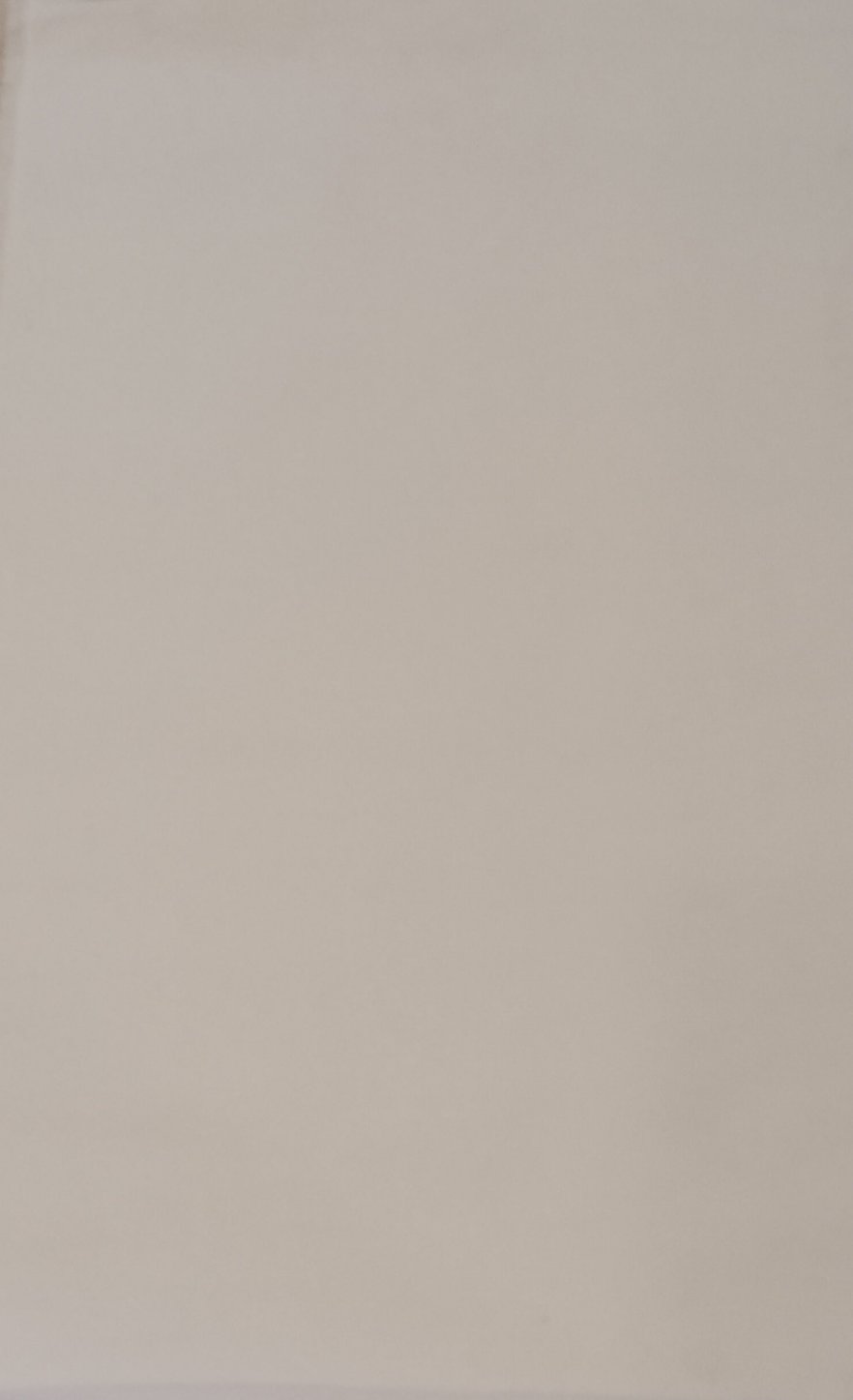 Rental - Clean White - Painted Backdrop - 3 × 2 ft