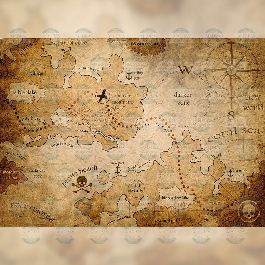 PIRATES THEME - BABY PRINTED BACKDROPS