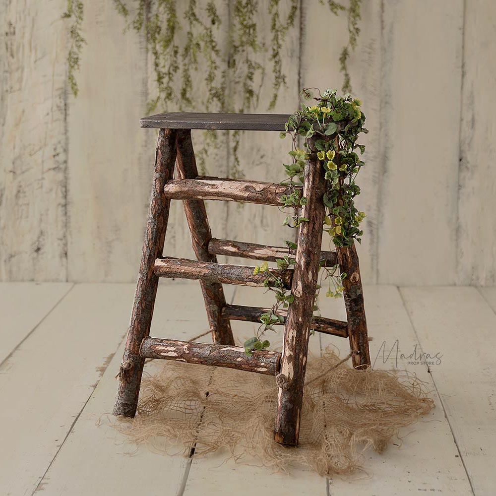 Rental - Rustic Log Ladder