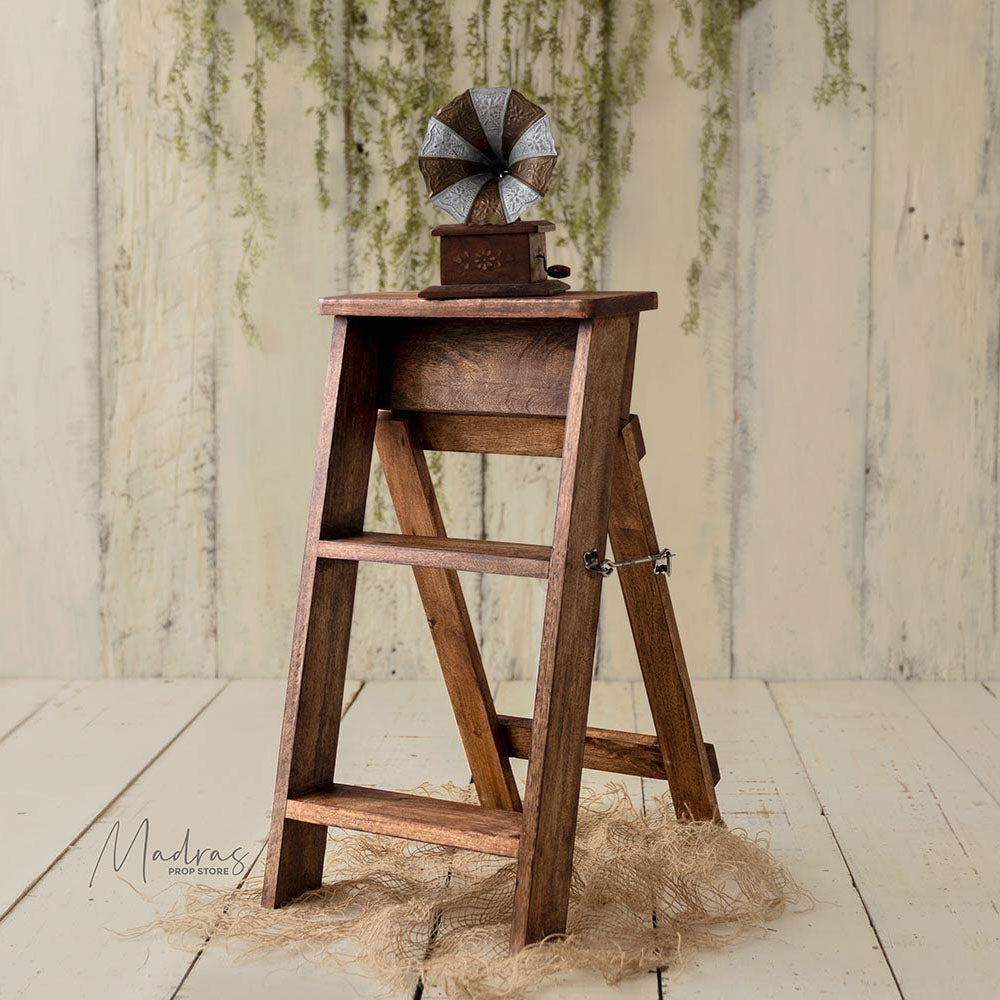 Rental - Mini Ladder