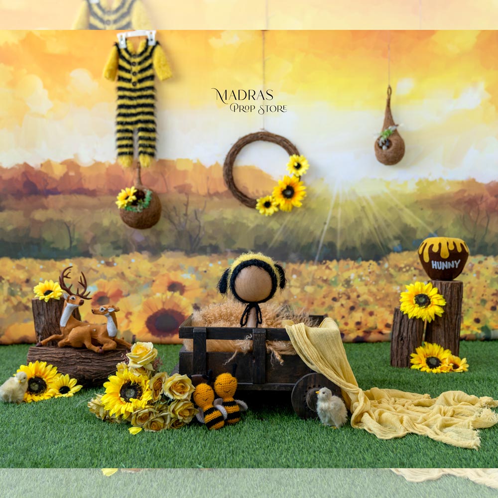 Setup No 1 | Sunflower theme