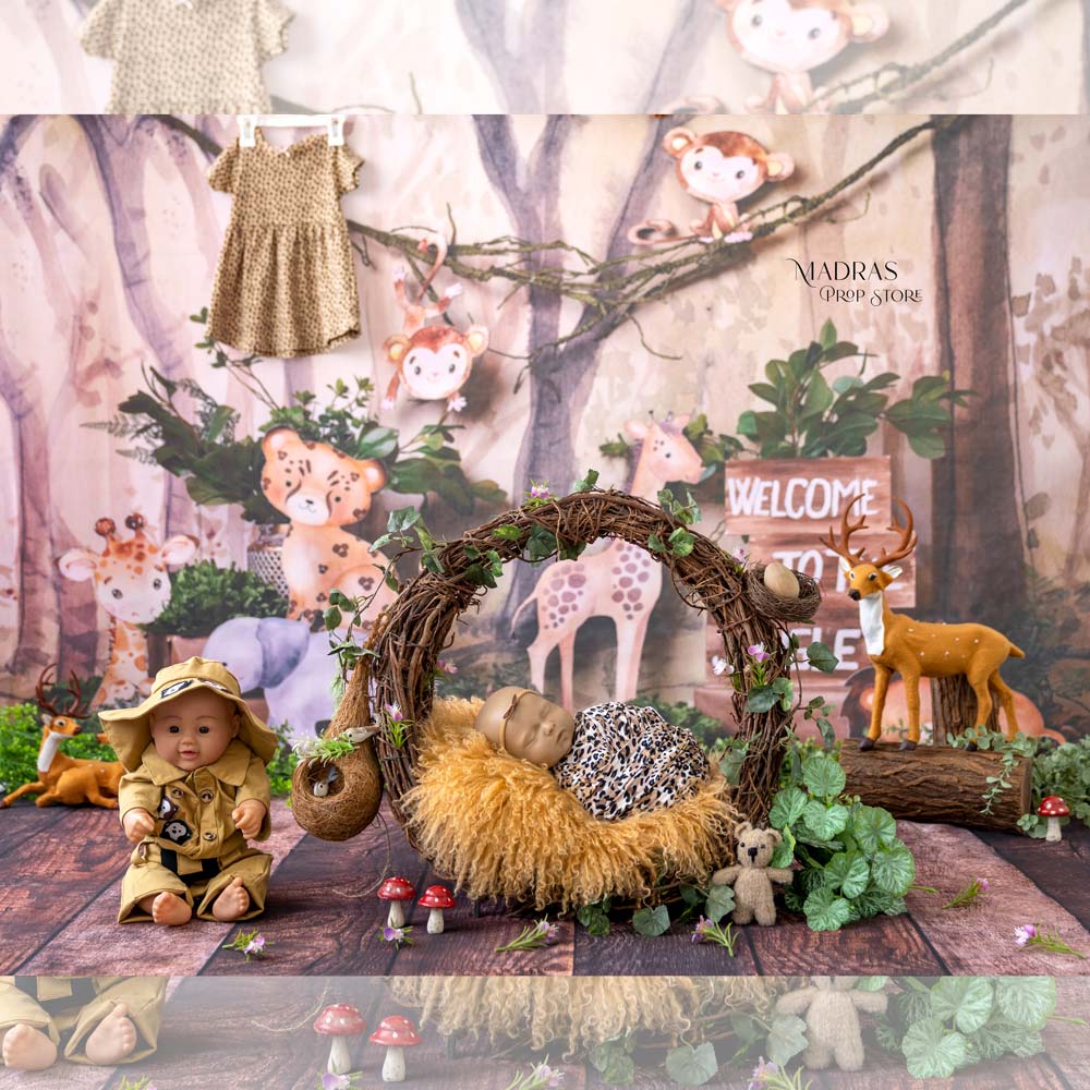 Setup No 30 | Jungle Theme