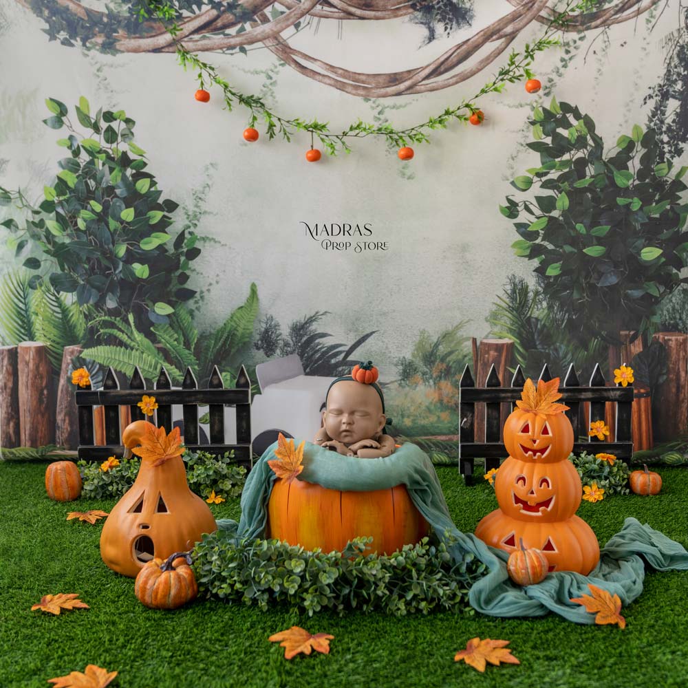 Setup No 38 | Pumpkin land Theme