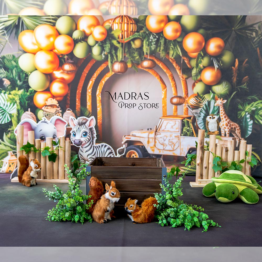 SETUP NO 115 | Safari Theme