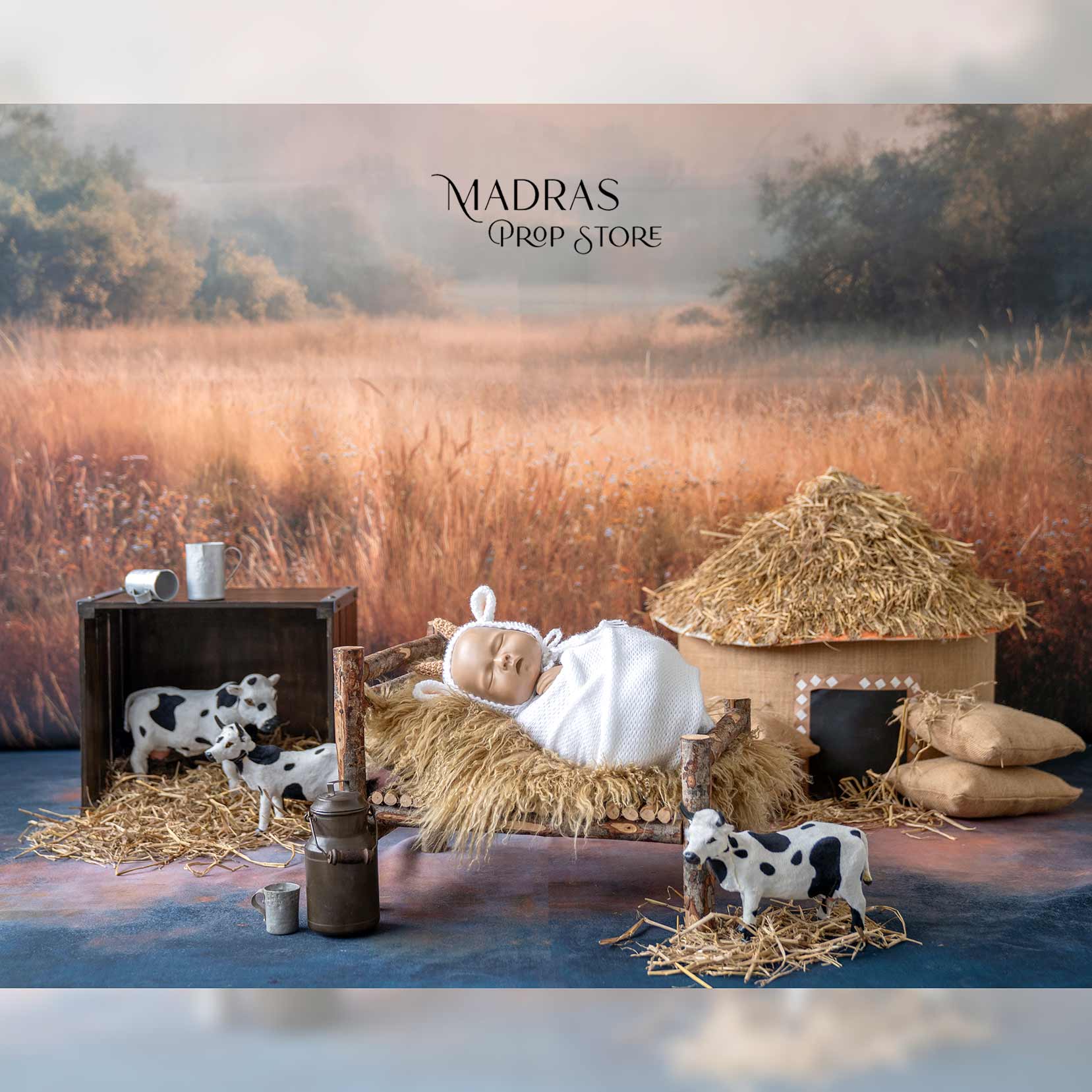 SETUP NO 126 | Golden Fields Theme