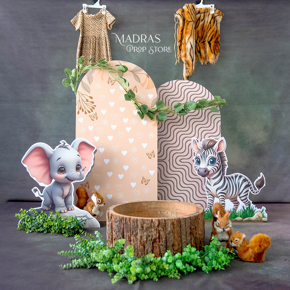 SETUP NO 113 | Little Wild Tales Theme