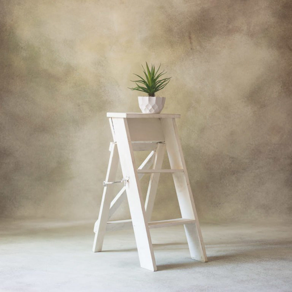 Rental - Mini Ladder