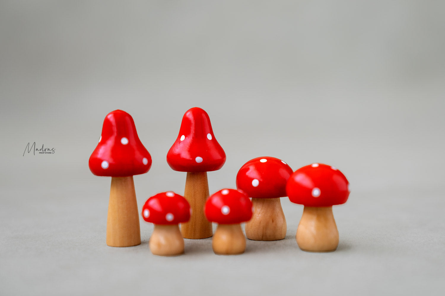 Rental - Tiny Mushrooms
