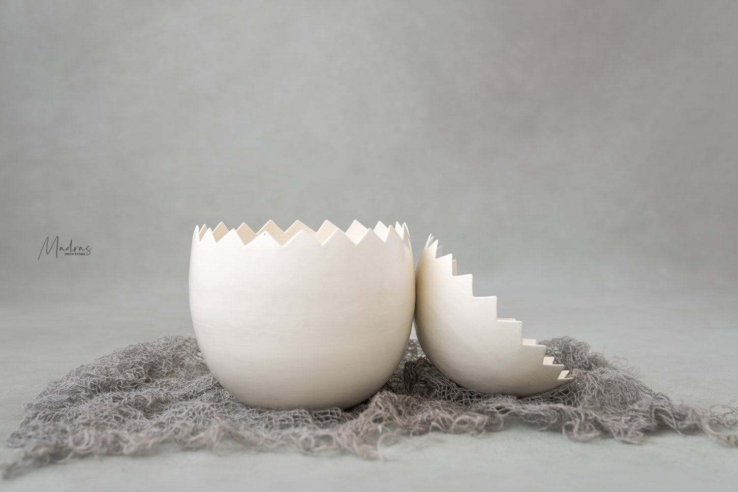 Rental - Egg Prop