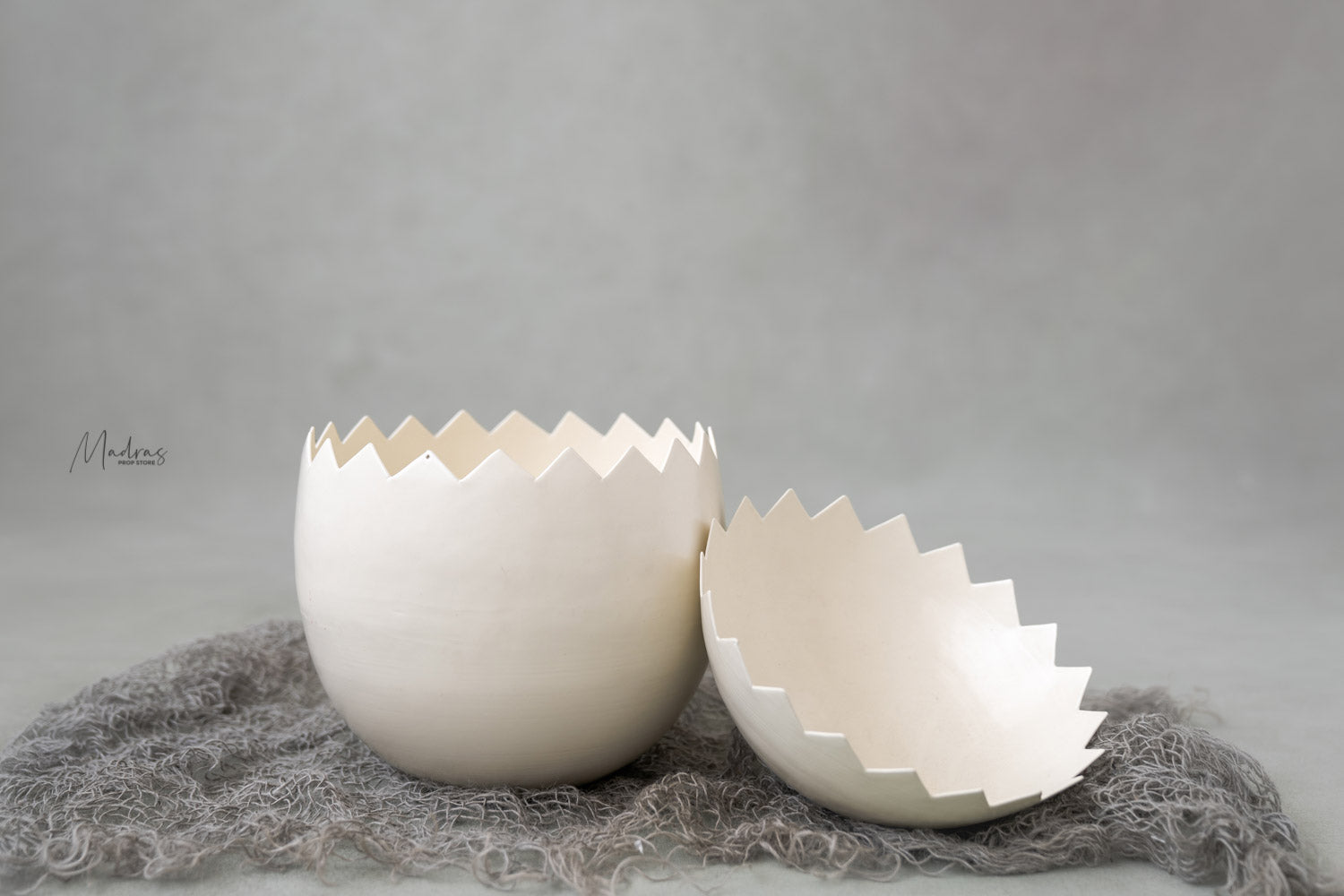 Rental - Egg Prop