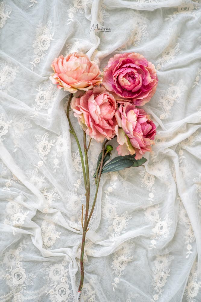 Rental - Pink Rose