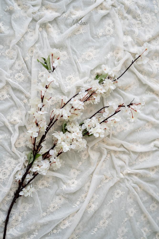 Rental - White Lily