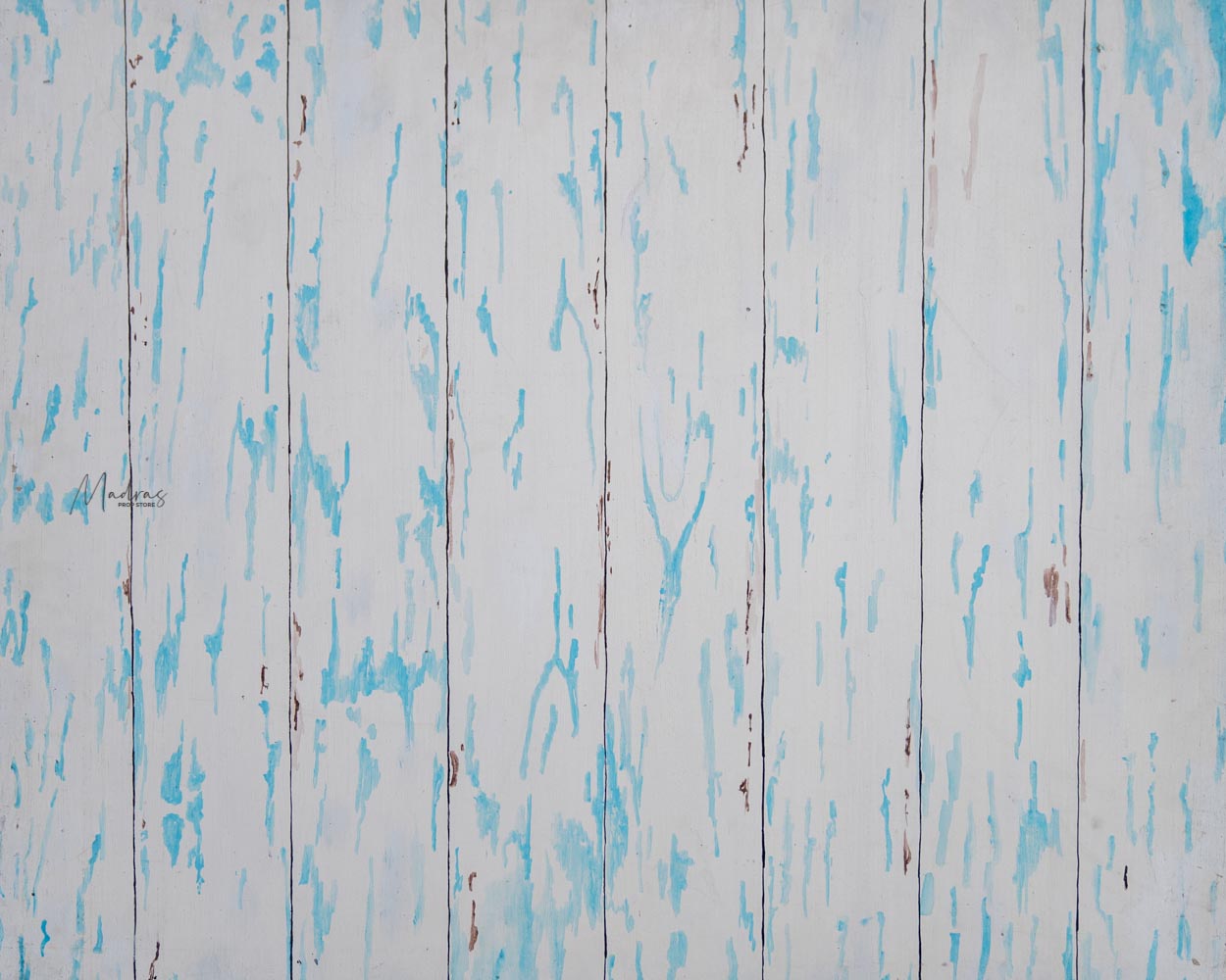 Rental - Painted Food 029 - 2 x 2.5 ft - MDF