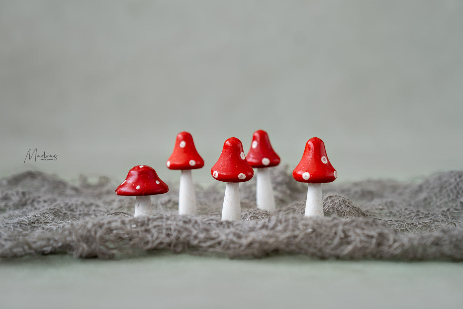 Rental - Tiny Mushrooms