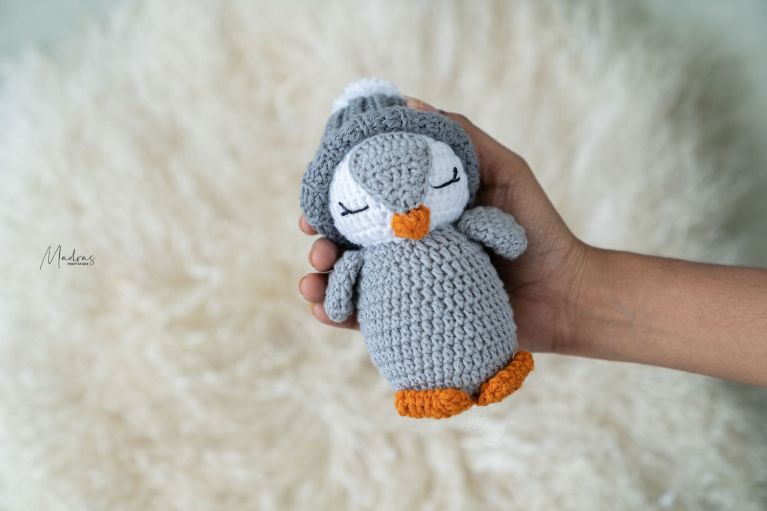 Rental - Penguin
