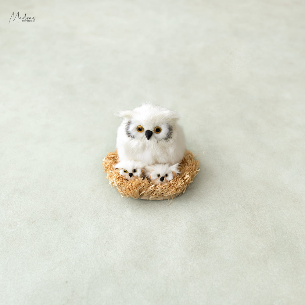 Rental - Owl