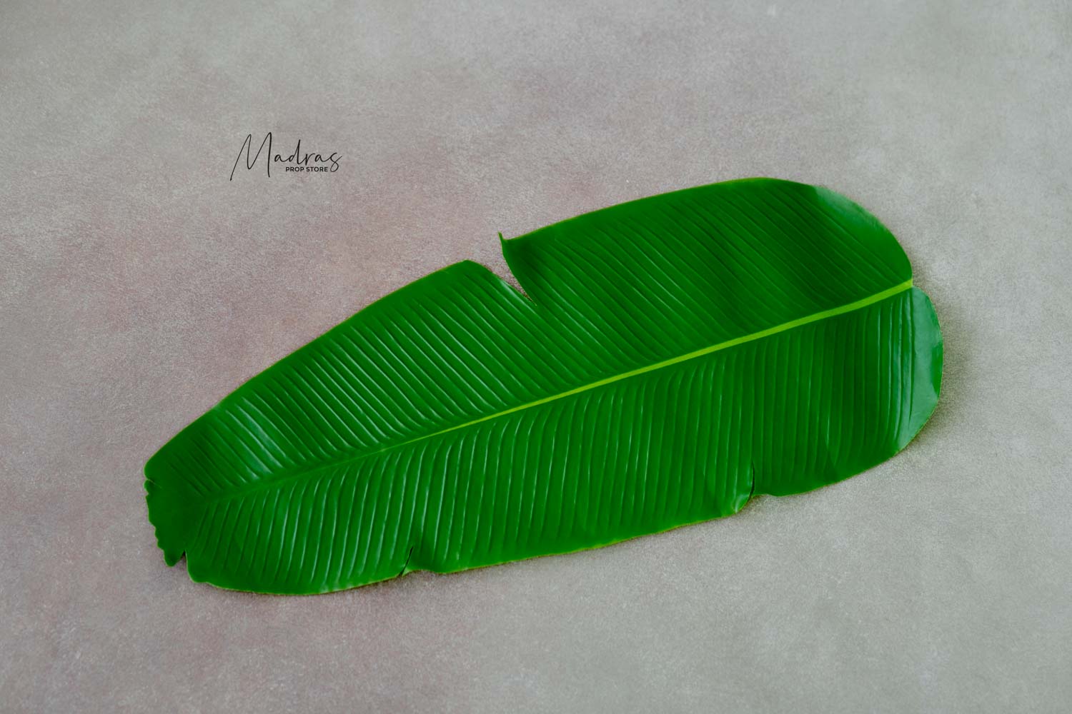 RENTAL- Banana Leaf