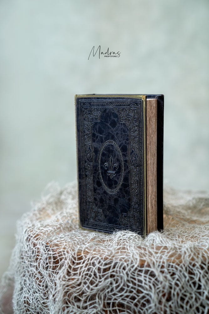 Rental - Harry Potter Book