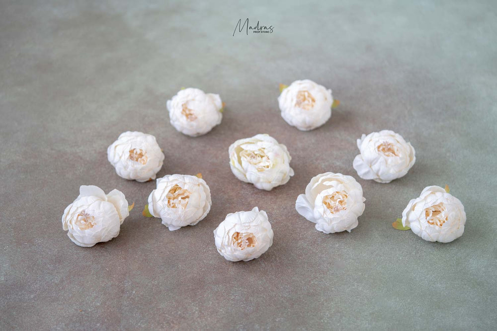 Rental - Peony Heads