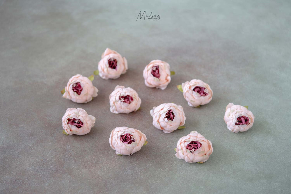 Rental - Peony Heads