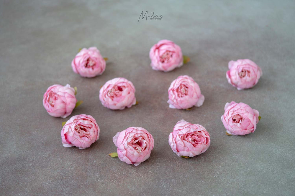 Rental - Peony Heads