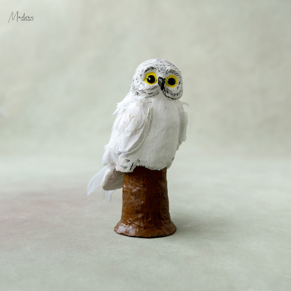 Rental - Owl