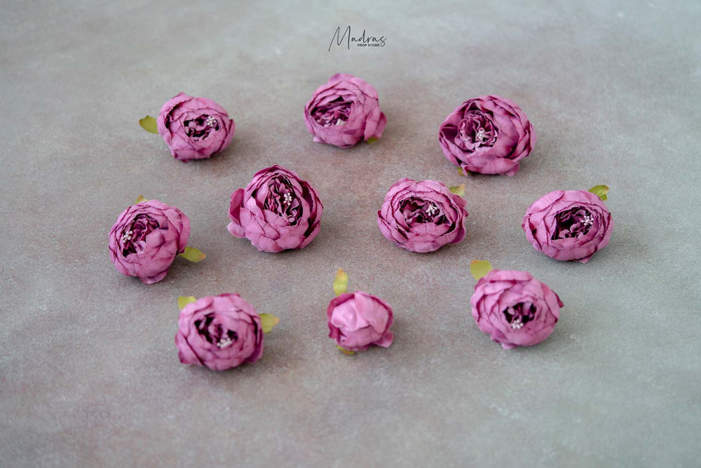 Rental - Peony Heads