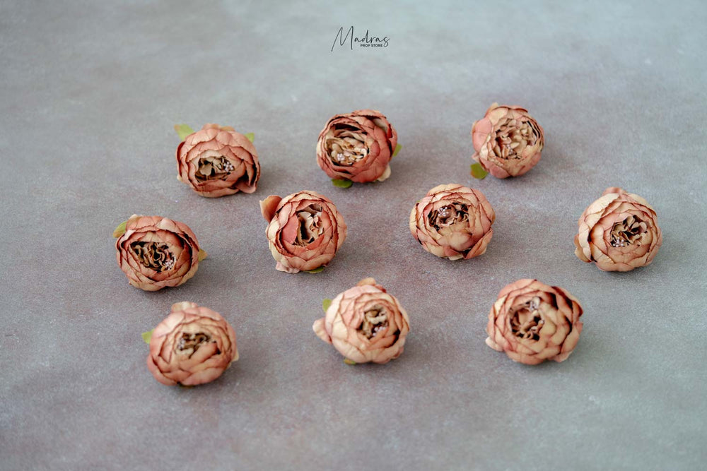 Rental - Peony Heads