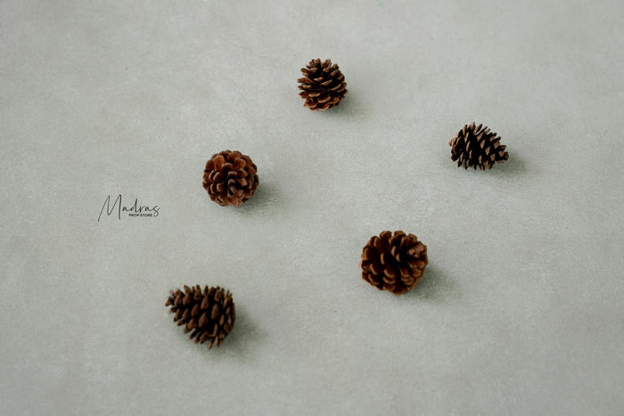 RENTAL - PINE CONE set of 5