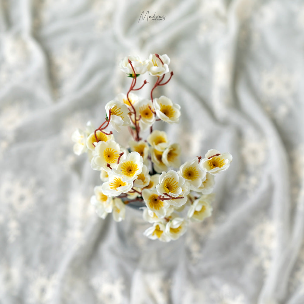 Rental - cherry blossom set of 2 (white)